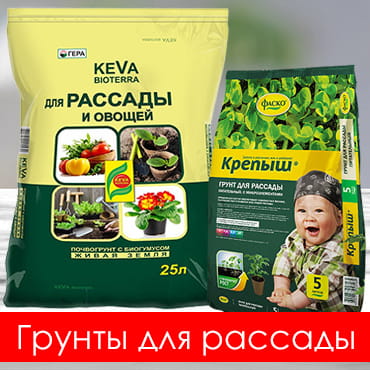 Грунты для рассады